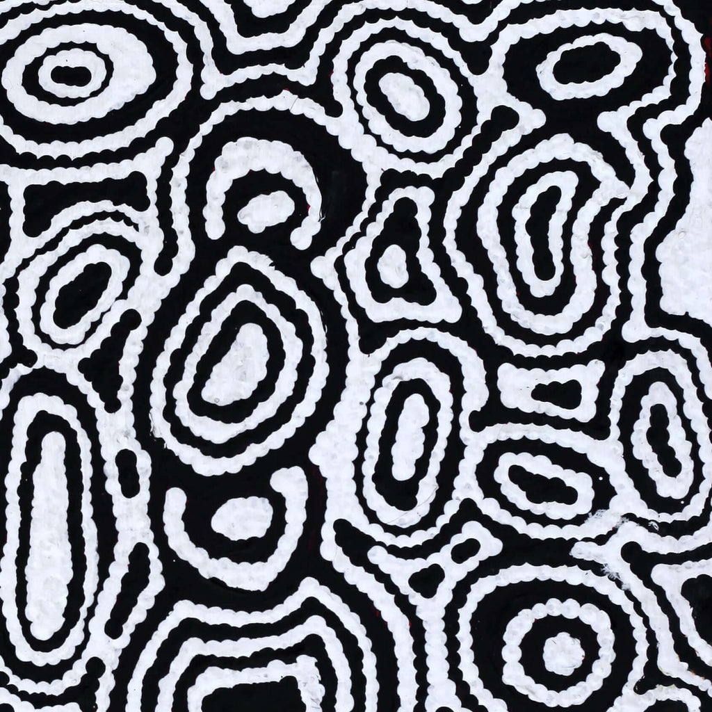 Aboriginal Artwork by Amelia Napaljarri Brown, Pikilyi Jukurrpa (Dreaming), 30x30cm