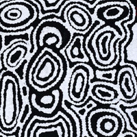 Aboriginal Artwork by Amelia Napaljarri Brown, Pikilyi Jukurrpa (Dreaming), 30x30cm