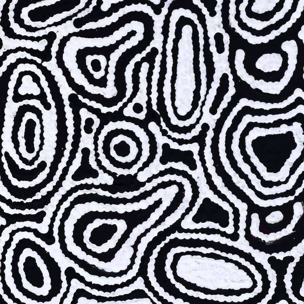 Aboriginal Art by Amelia Napaljarri Brown, Pikilyi Jukurrpa (Dreaming), 30x30cm - ART ARK®