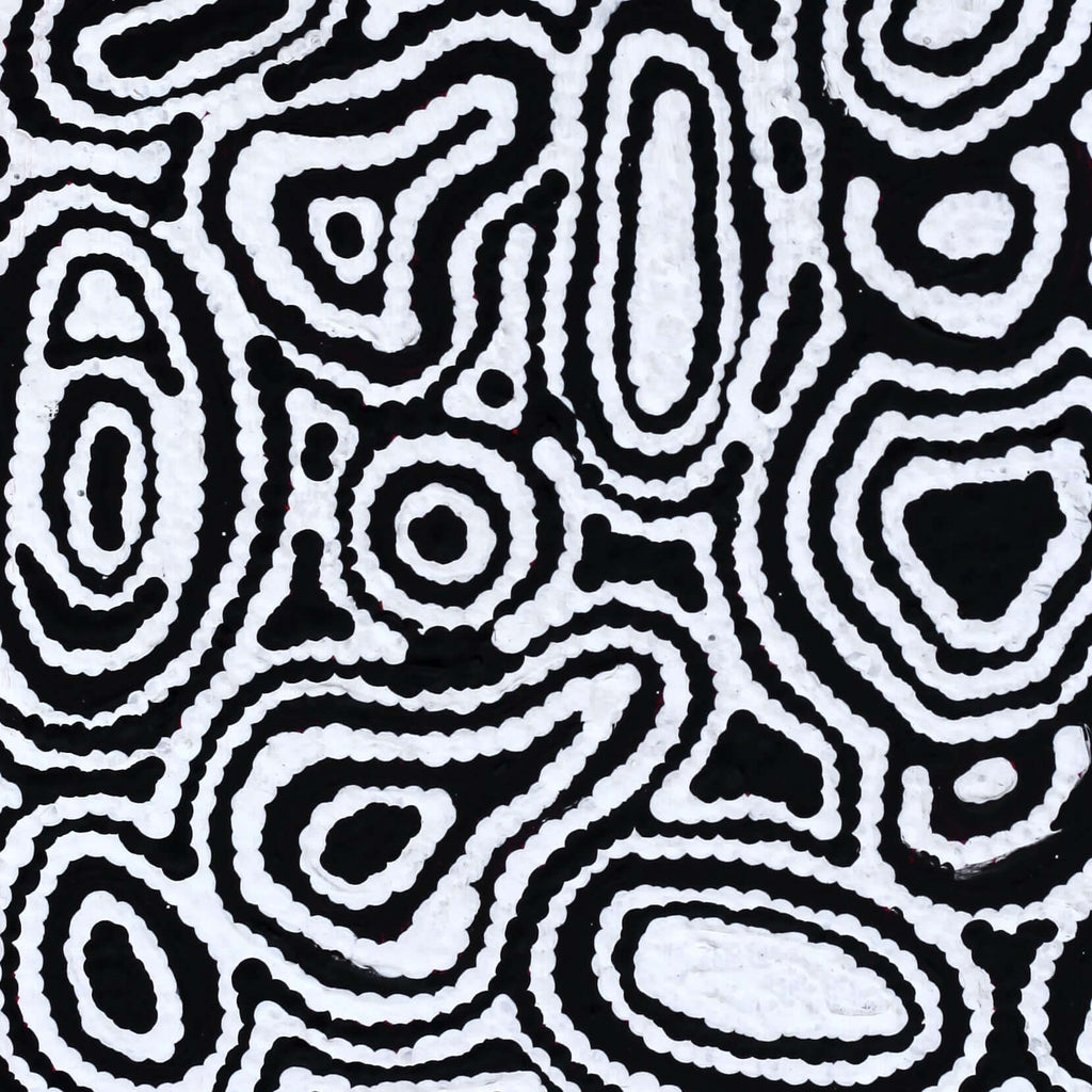Aboriginal Artwork by Amelia Napaljarri Brown, Pikilyi Jukurrpa (Dreaming), 30x30cm