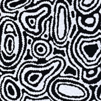 Aboriginal Artwork by Amelia Napaljarri Brown, Pikilyi Jukurrpa (Dreaming), 30x30cm