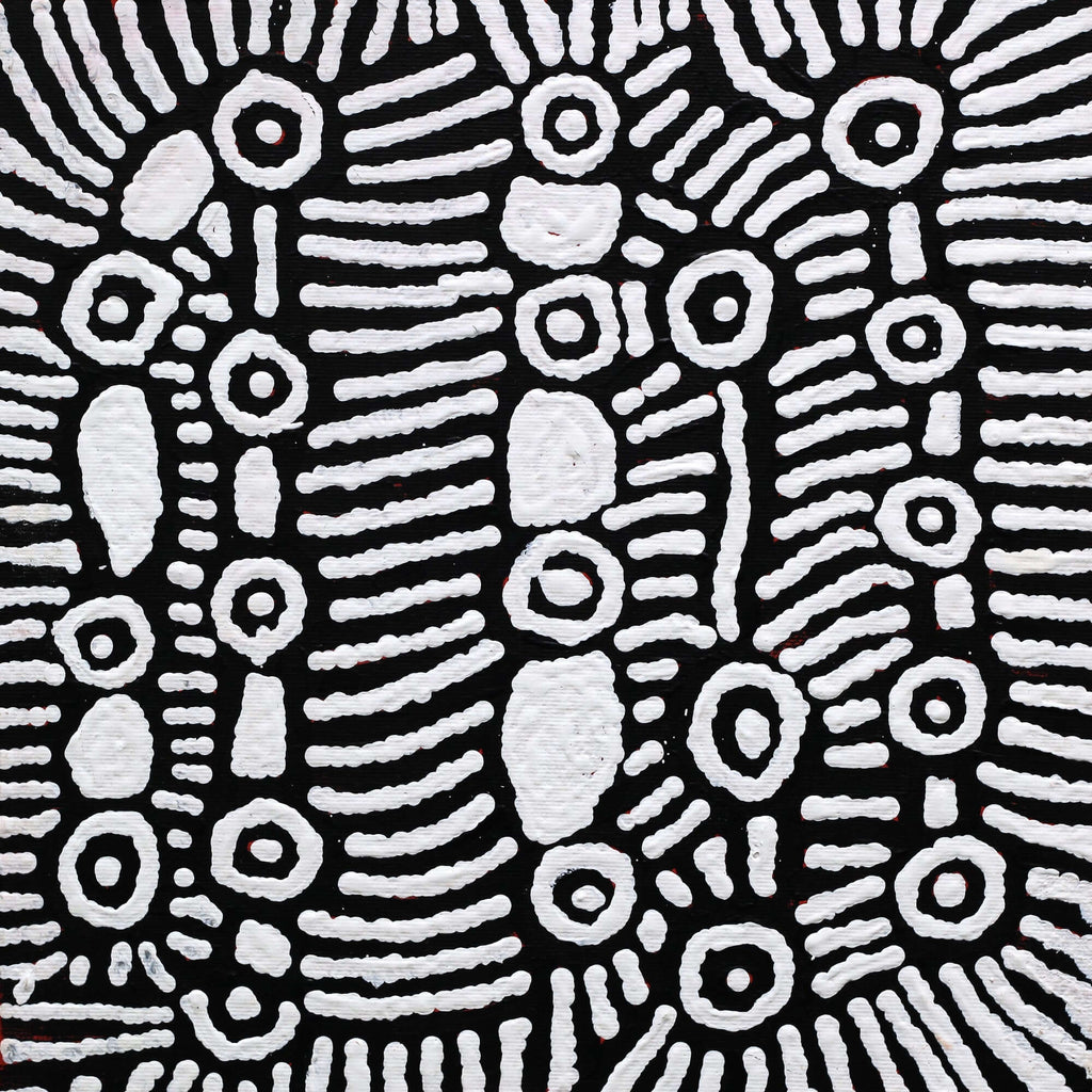 Aboriginal Artwork by Amelia Napaljarri Brown, Pikilyi Jukurrpa (Vaughn Springs Dreaming), 30x30cm