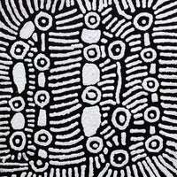 Aboriginal Artwork by Amelia Napaljarri Brown, Pikilyi Jukurrpa (Vaughn Springs Dreaming), 30x30cm