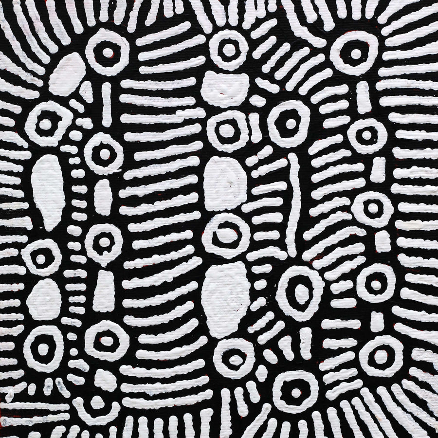 Aboriginal Artwork by Amelia Napaljarri Brown, Pikilyi Jukurrpa (Vaughn Springs Dreaming), 30x30cm