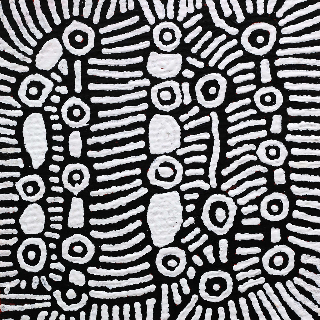 Aboriginal Artwork by Amelia Napaljarri Brown, Pikilyi Jukurrpa (Vaughn Springs Dreaming), 30x30cm - ART ARK®