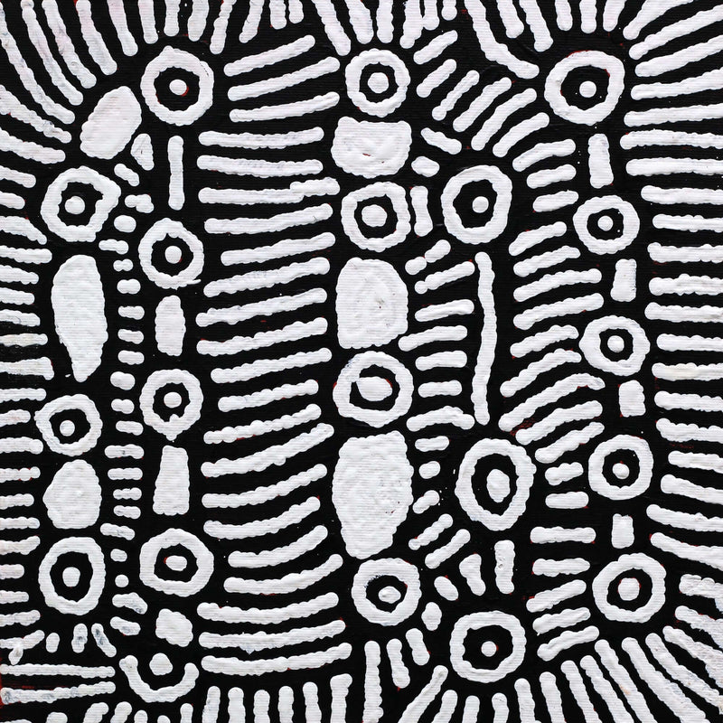 Aboriginal Artwork by Amelia Napaljarri Brown, Pikilyi Jukurrpa (Vaughn Springs Dreaming), 30x30cm
