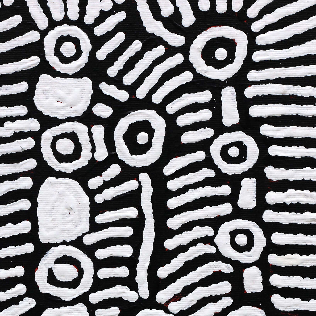 Aboriginal Artwork by Amelia Napaljarri Brown, Pikilyi Jukurrpa (Vaughn Springs Dreaming), 30x30cm