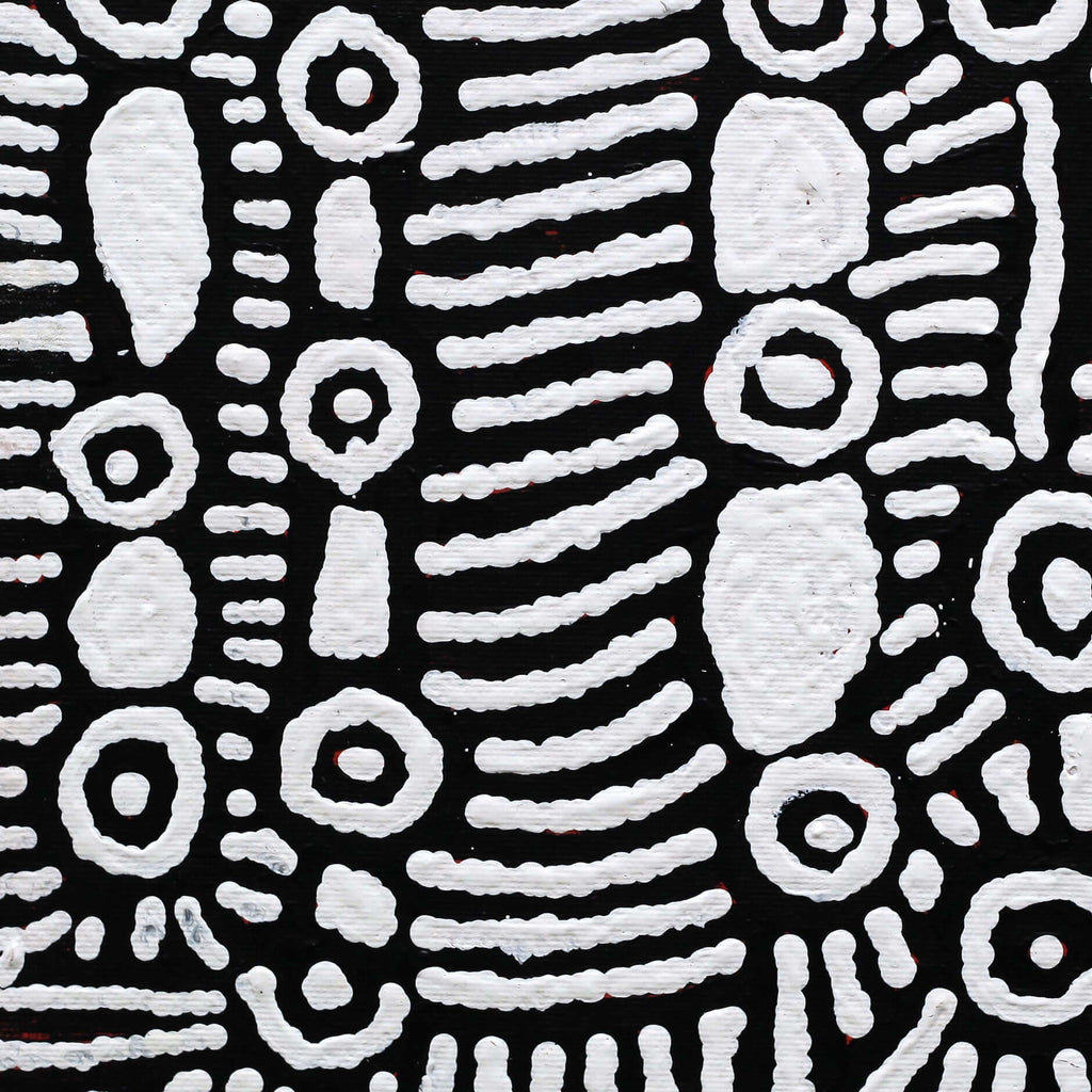 Aboriginal Artwork by Amelia Napaljarri Brown, Pikilyi Jukurrpa (Vaughn Springs Dreaming), 30x30cm - ART ARK®