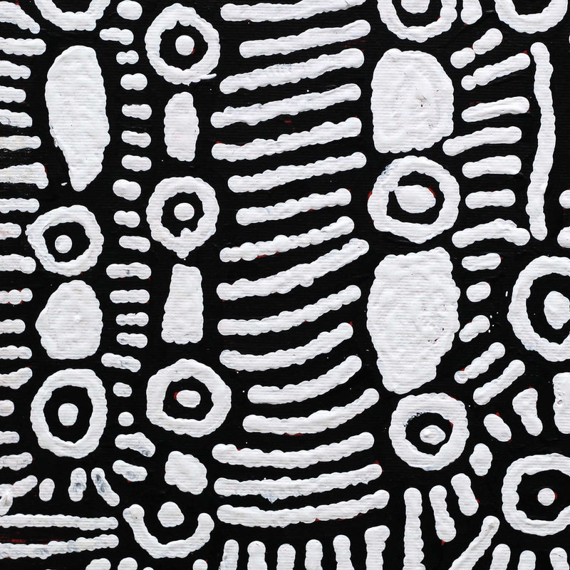 Aboriginal Artwork by Amelia Napaljarri Brown, Pikilyi Jukurrpa (Vaughn Springs Dreaming), 30x30cm