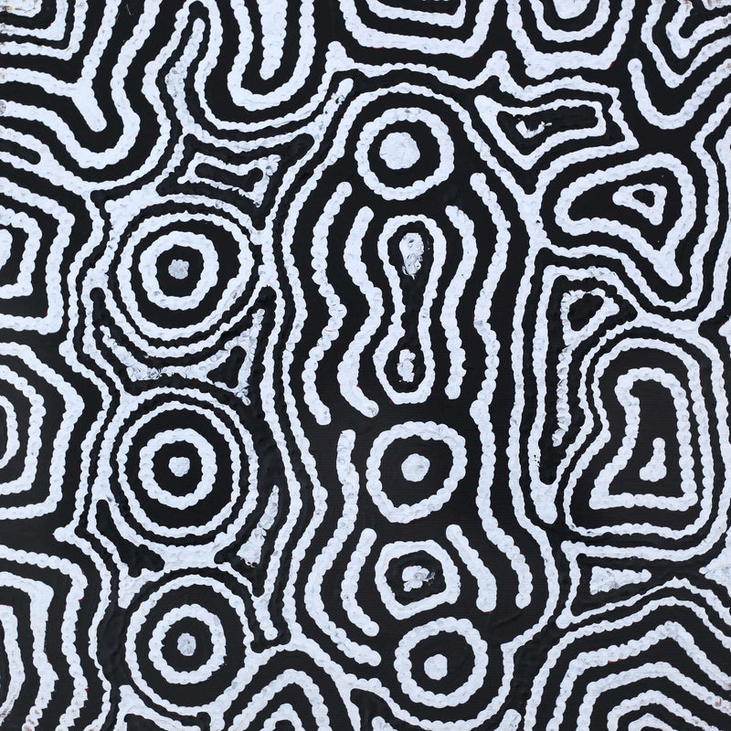 Aboriginal Artwork by Amelia Napaljarri Brown, Pikilyi Jukurrpa (Vaughn Springs Dreaming), 30x30cm