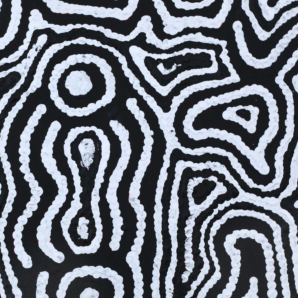 Aboriginal Artwork by Amelia Napaljarri Brown, Pikilyi Jukurrpa (Vaughn Springs Dreaming), 30x30cm