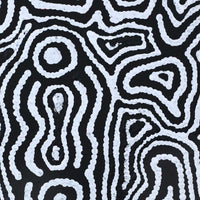 Aboriginal Artwork by Amelia Napaljarri Brown, Pikilyi Jukurrpa (Vaughn Springs Dreaming), 30x30cm