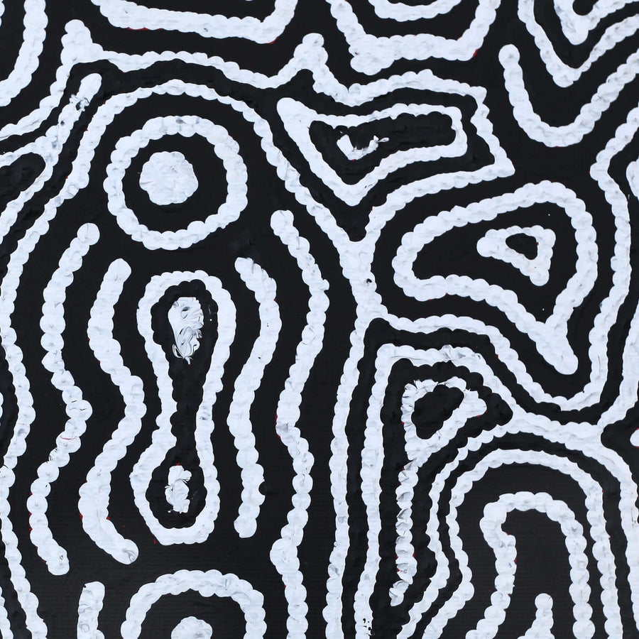 Aboriginal Artwork by Amelia Napaljarri Brown, Pikilyi Jukurrpa (Vaughn Springs Dreaming), 30x30cm