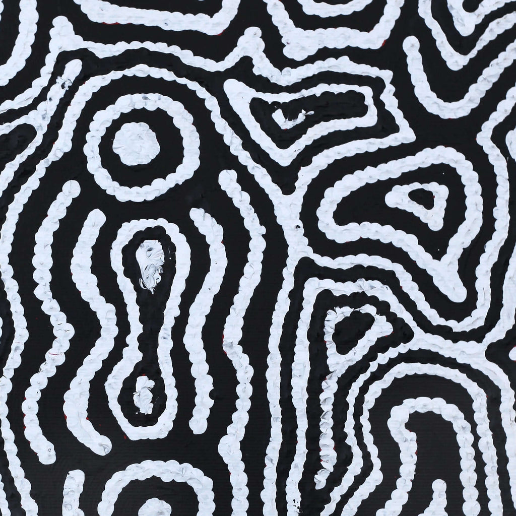 Aboriginal Art by Amelia Napaljarri Brown, Pikilyi Jukurrpa (Vaughn Springs Dreaming), 30x30cm - ART ARK®