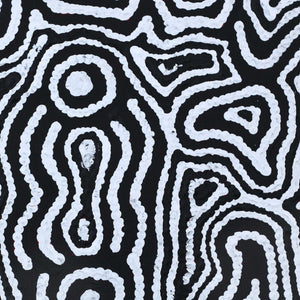 Aboriginal Art by Amelia Napaljarri Brown, Pikilyi Jukurrpa (Vaughn Springs Dreaming), 30x30cm - ART ARK®