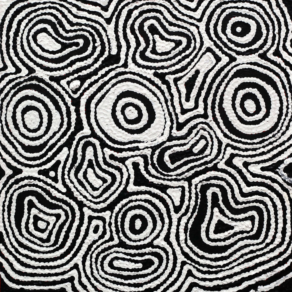 Aboriginal Artwork by Amelia Napaljarri Brown, Pikilyi Jukurrpa (Vaughn Springs Dreaming), 30x30cm