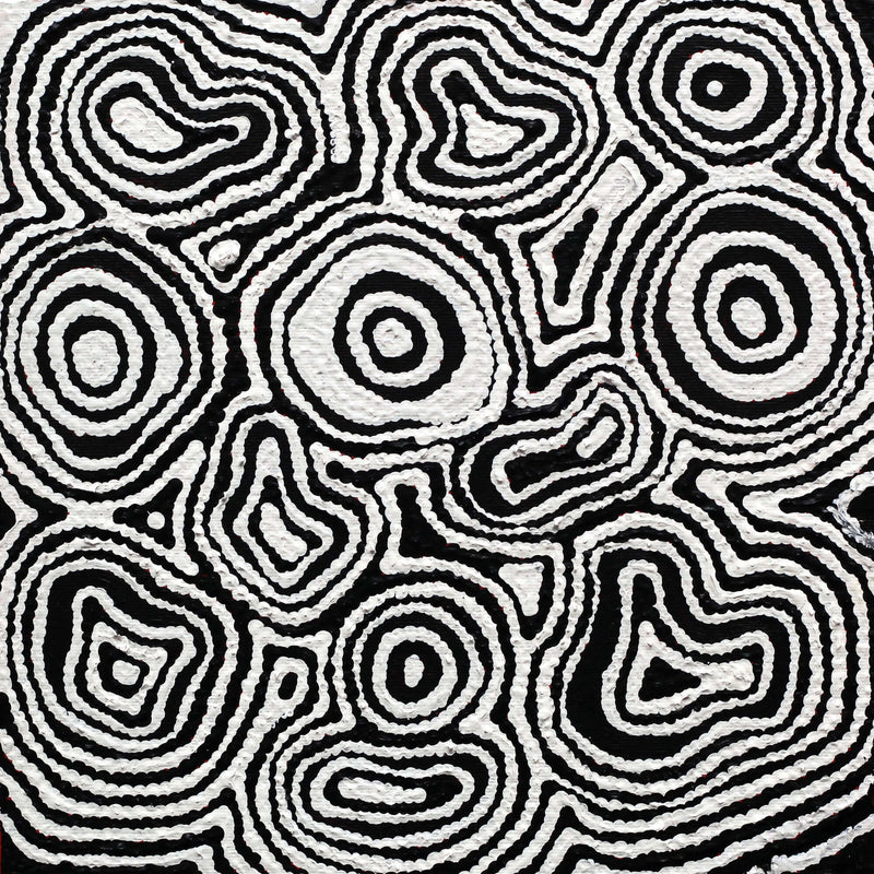 Aboriginal Artwork by Amelia Napaljarri Brown, Pikilyi Jukurrpa (Vaughn Springs Dreaming), 30x30cm