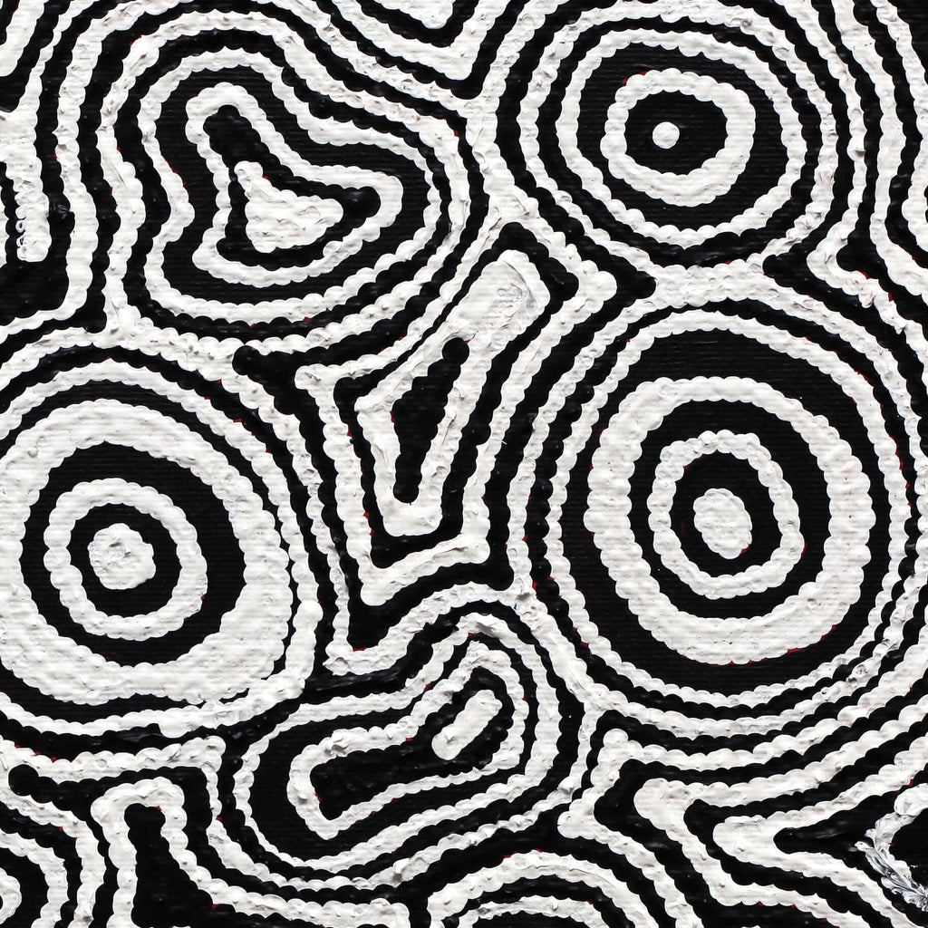 Aboriginal Artwork by Amelia Napaljarri Brown, Pikilyi Jukurrpa (Vaughn Springs Dreaming), 30x30cm