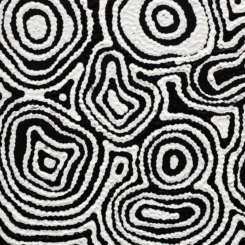 Aboriginal Artwork by Amelia Napaljarri Brown, Pikilyi Jukurrpa (Vaughn Springs Dreaming), 30x30cm