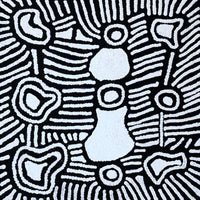 Aboriginal Artwork by Amelia Napaljarri Brown, Pikilyi Jukurrpa (Dreaming), 30x30cm