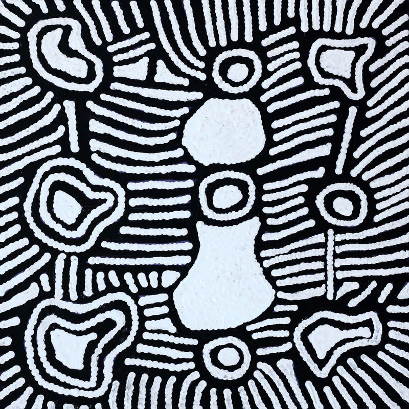 Aboriginal Artwork by Amelia Napaljarri Brown, Pikilyi Jukurrpa (Dreaming), 30x30cm
