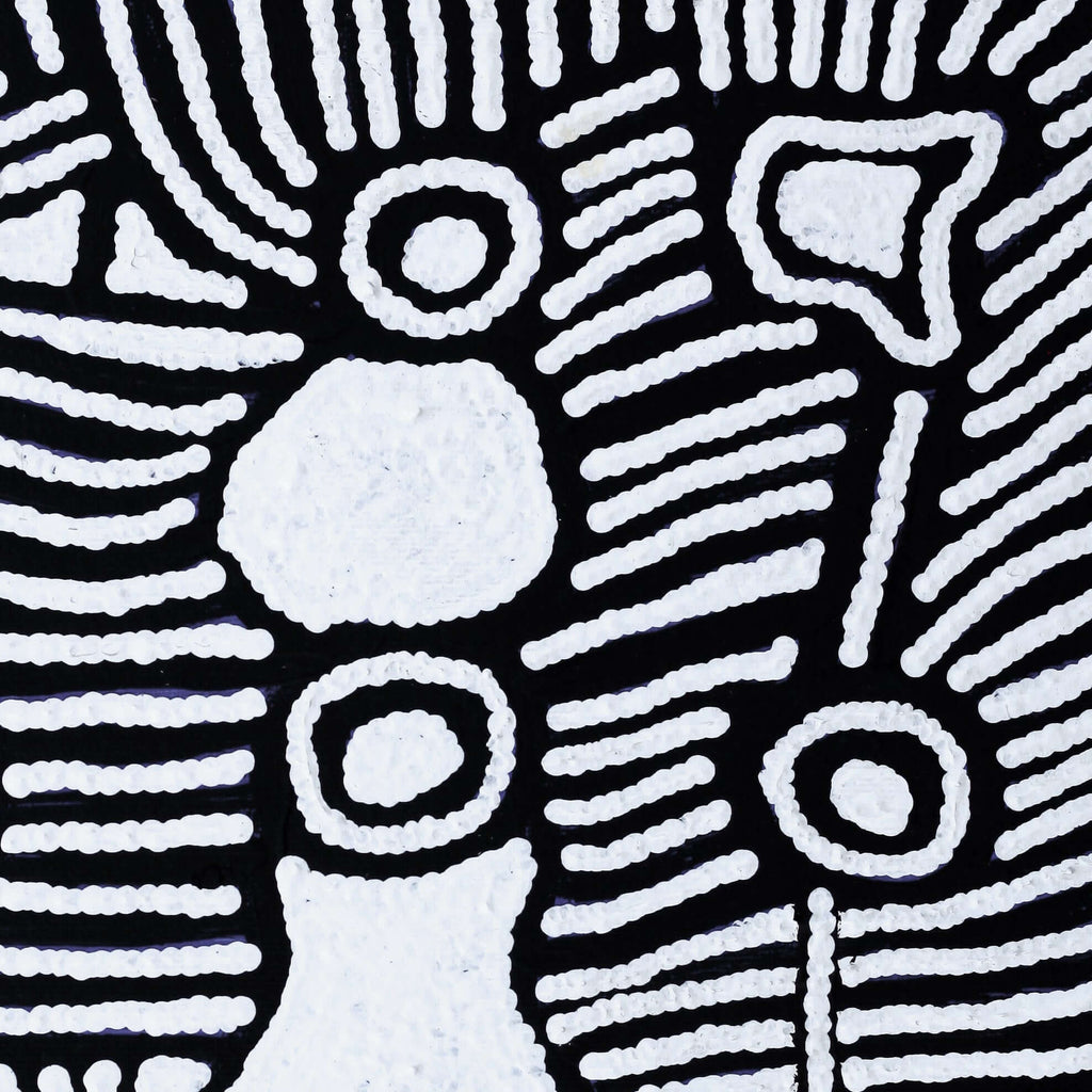 Aboriginal Artwork by Amelia Napaljarri Brown, Pikilyi Jukurrpa (Dreaming), 30x30cm