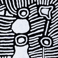 Aboriginal Artwork by Amelia Napaljarri Brown, Pikilyi Jukurrpa (Dreaming), 30x30cm