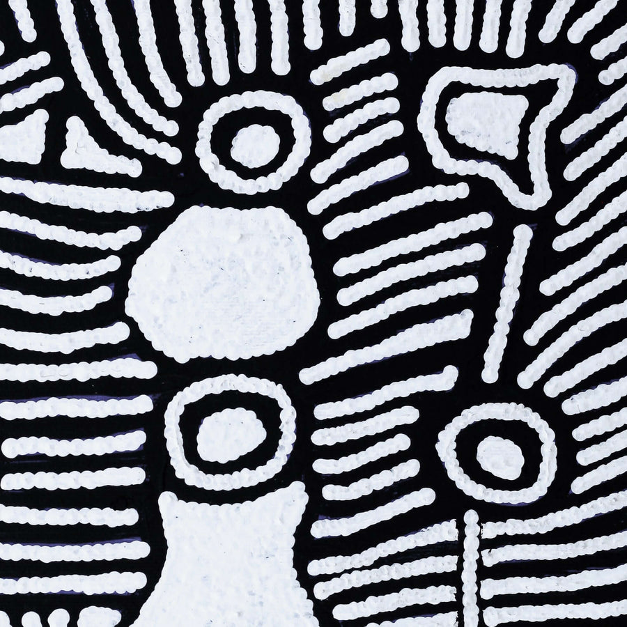 Aboriginal Artwork by Amelia Napaljarri Brown, Pikilyi Jukurrpa (Dreaming), 30x30cm