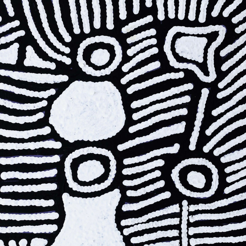 Aboriginal Artwork by Amelia Napaljarri Brown, Pikilyi Jukurrpa (Dreaming), 30x30cm