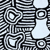 Aboriginal Artwork by Amelia Napaljarri Brown, Pikilyi Jukurrpa (Dreaming), 30x30cm