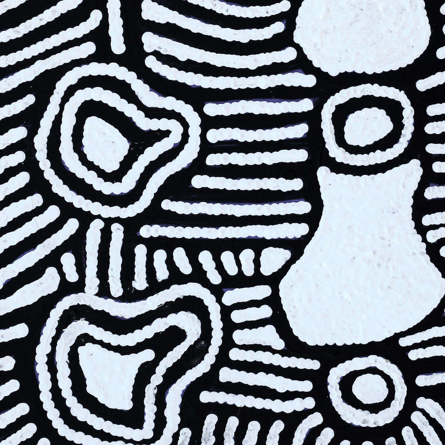 Aboriginal Artwork by Amelia Napaljarri Brown, Pikilyi Jukurrpa (Dreaming), 30x30cm
