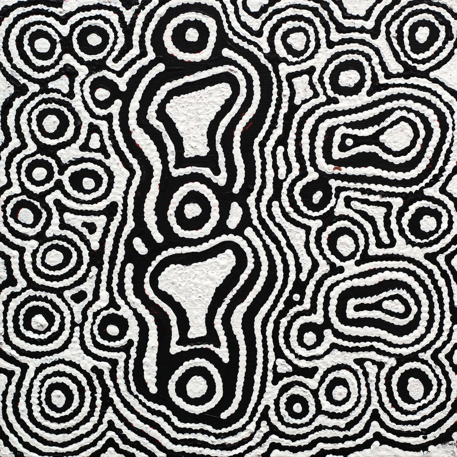 Aboriginal Artwork by Amelia Napaljarri Brown, Pikilyi Jukurrpa (Vaughn Springs Dreaming), 30x30cm