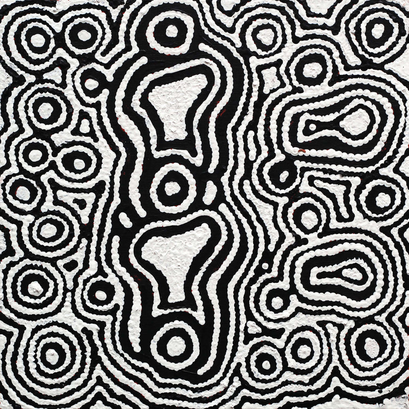 Aboriginal Artwork by Amelia Napaljarri Brown, Pikilyi Jukurrpa (Vaughn Springs Dreaming), 30x30cm