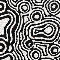 Aboriginal Artwork by Amelia Napaljarri Brown, Pikilyi Jukurrpa (Vaughn Springs Dreaming), 30x30cm