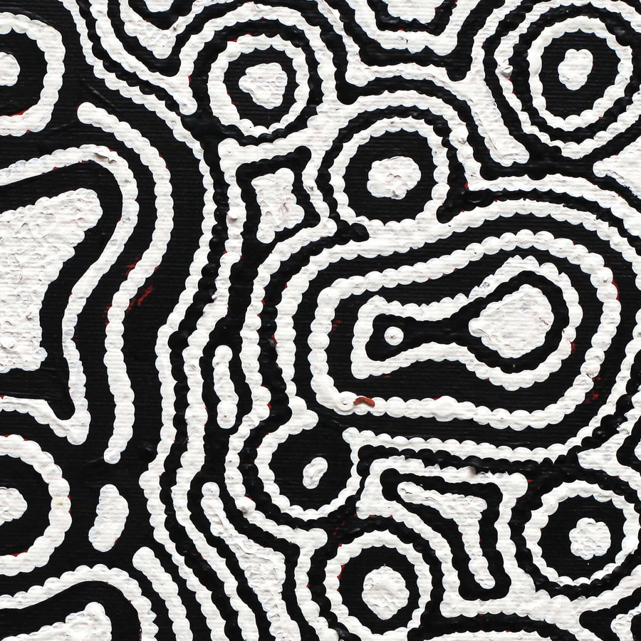 Aboriginal Artwork by Amelia Napaljarri Brown, Pikilyi Jukurrpa (Vaughn Springs Dreaming), 30x30cm
