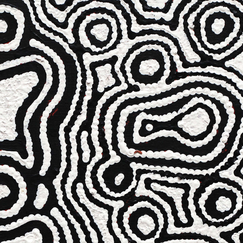 Aboriginal Artwork by Amelia Napaljarri Brown, Pikilyi Jukurrpa (Vaughn Springs Dreaming), 30x30cm