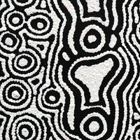 Aboriginal Artwork by Amelia Napaljarri Brown, Pikilyi Jukurrpa (Vaughn Springs Dreaming), 30x30cm