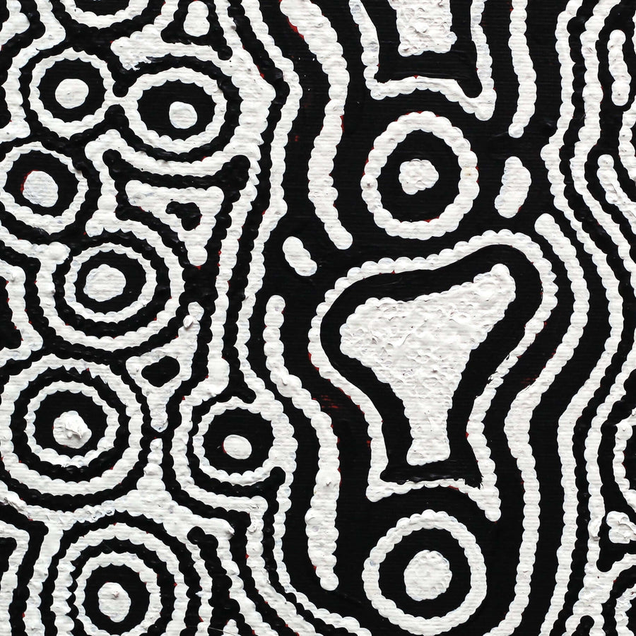 Aboriginal Artwork by Amelia Napaljarri Brown, Pikilyi Jukurrpa (Vaughn Springs Dreaming), 30x30cm