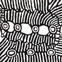 Aboriginal Artwork by Amelia Napaljarri Brown, Pikilyi Jukurrpa (Dreaming), 30x30cm