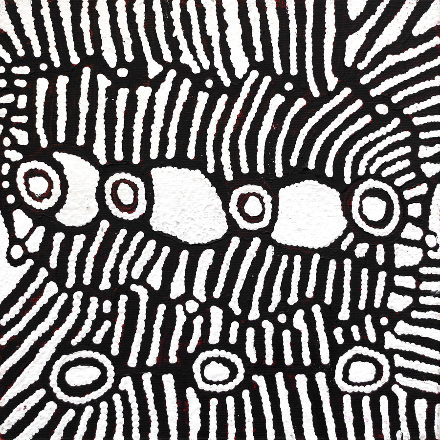 Aboriginal Artwork by Amelia Napaljarri Brown, Pikilyi Jukurrpa (Dreaming), 30x30cm