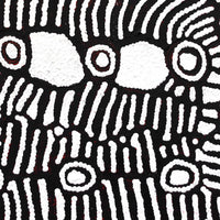 Aboriginal Artwork by Amelia Napaljarri Brown, Pikilyi Jukurrpa (Dreaming), 30x30cm