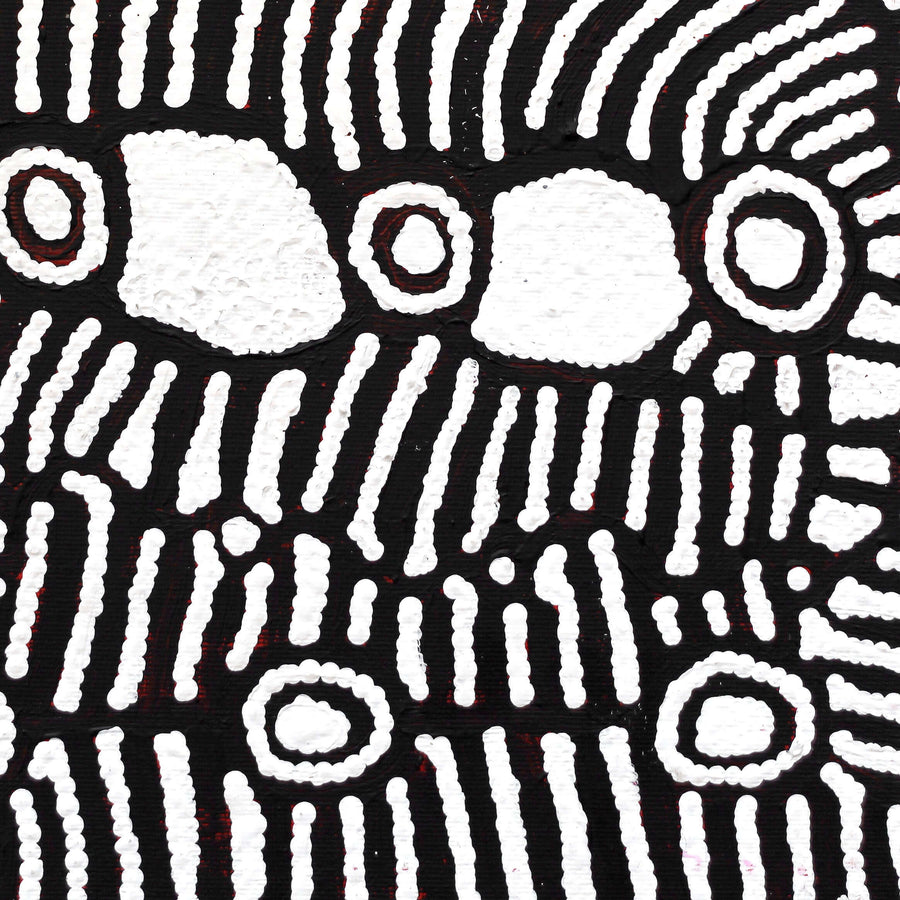 Aboriginal Artwork by Amelia Napaljarri Brown, Pikilyi Jukurrpa (Dreaming), 30x30cm