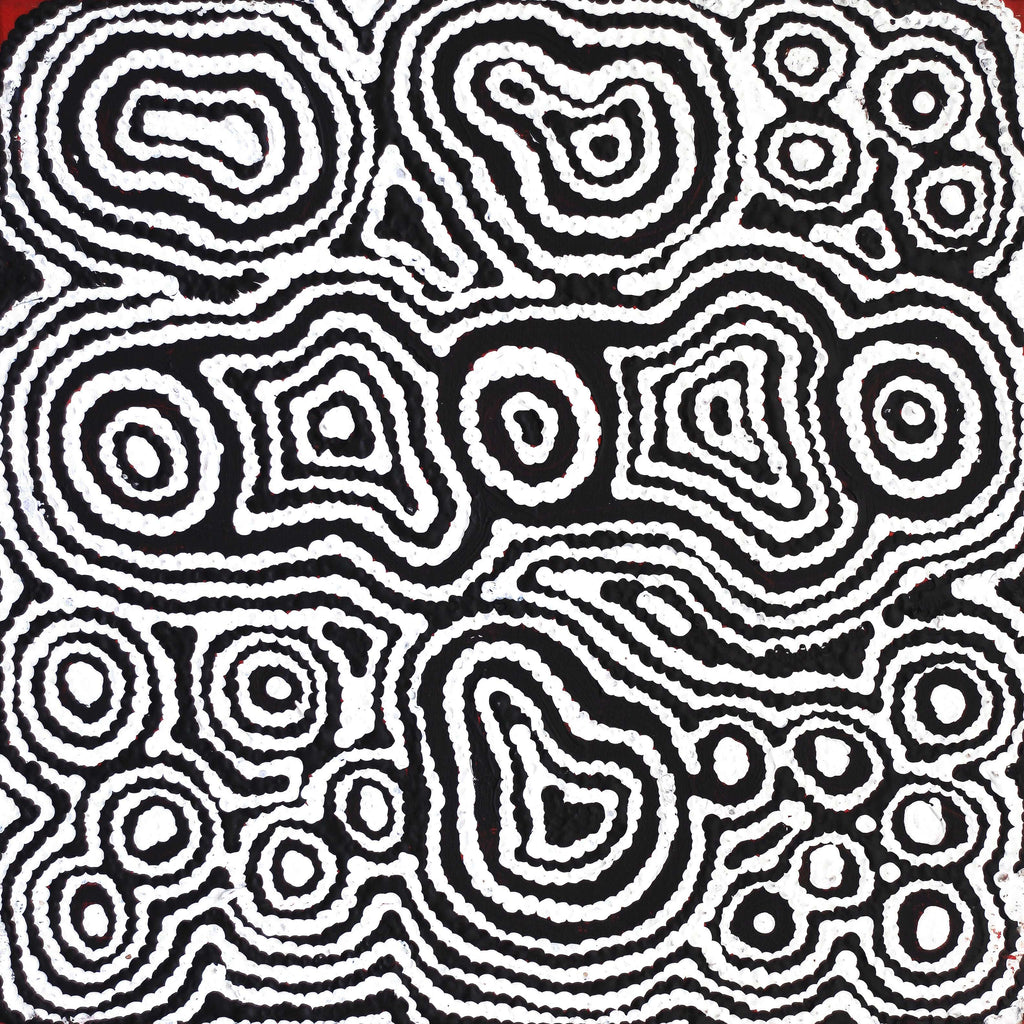 Aboriginal Artwork by Amelia Napaljarri Brown, Pikilyi Jukurrpa (Dreaming), 30x30cm