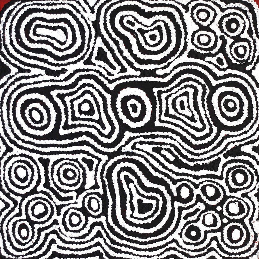 Aboriginal Artwork by Amelia Napaljarri Brown, Pikilyi Jukurrpa (Dreaming), 30x30cm