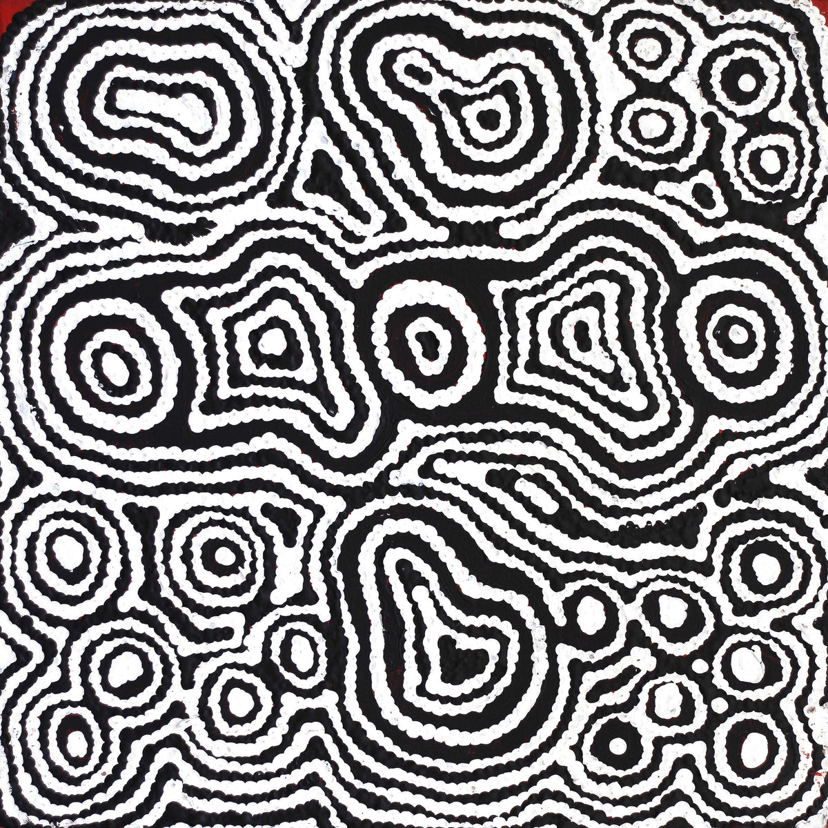 Aboriginal Art by Amelia Napaljarri Brown, Pikilyi Jukurrpa (Dreaming), 30x30cm - ART ARK®