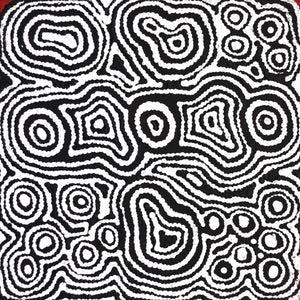 Aboriginal Artwork by Amelia Napaljarri Brown, Pikilyi Jukurrpa (Dreaming), 30x30cm - ART ARK®