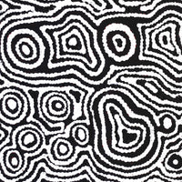 Aboriginal Artwork by Amelia Napaljarri Brown, Pikilyi Jukurrpa (Dreaming), 30x30cm