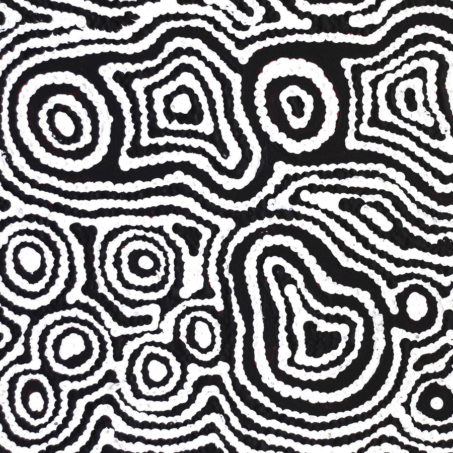 Aboriginal Artwork by Amelia Napaljarri Brown, Pikilyi Jukurrpa (Dreaming), 30x30cm