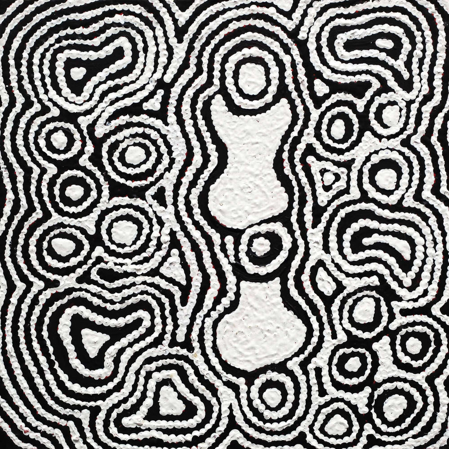 Aboriginal Artwork by Amelia Napaljarri Brown, Pikilyi Jukurrpa (Vaughn Springs Dreaming), 30x30cm