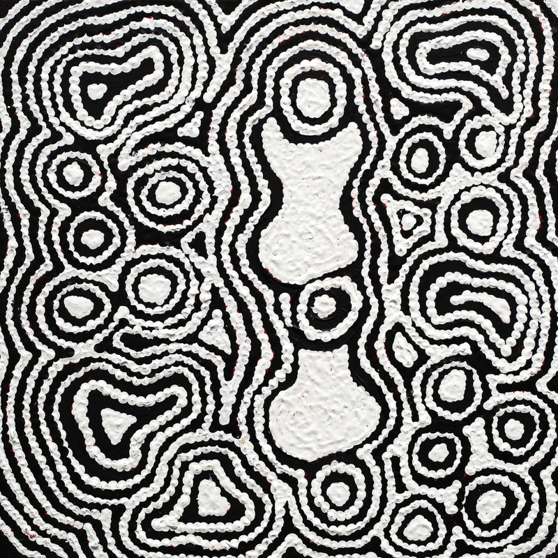 Aboriginal Artwork by Amelia Napaljarri Brown, Pikilyi Jukurrpa (Vaughn Springs Dreaming), 30x30cm